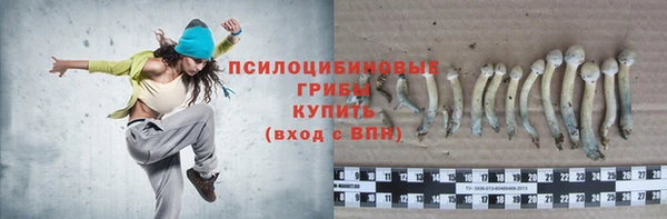 бошки Абинск