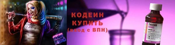индика Покров