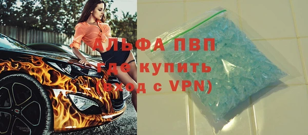 индика Покров